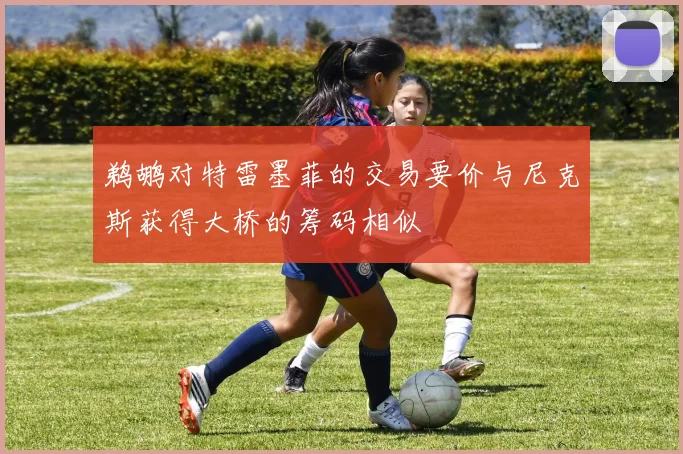 鹈鹕对特雷墨菲的交易要价与尼克斯获得大桥的筹码相似