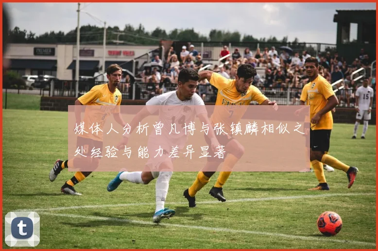 媒体人分析曾凡博与张镇麟相似之处经验与能力差异显著