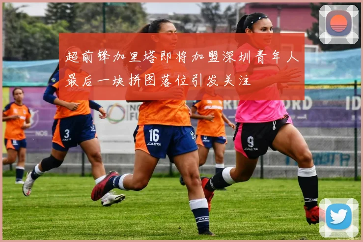 超前锋加里塔即将加盟深圳青年人最后一块拼图落位引发关注