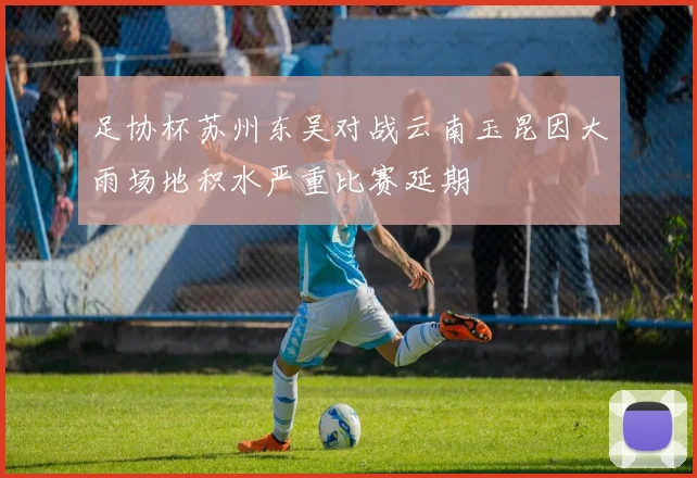 足协杯苏州东吴对战云南玉昆因大雨场地积水严重比赛延期
